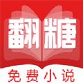 翻糖小说最新版