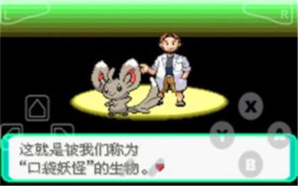 口袋妖怪漆黑的魅影截图2