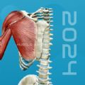 3D肌肉解剖app官方正版 