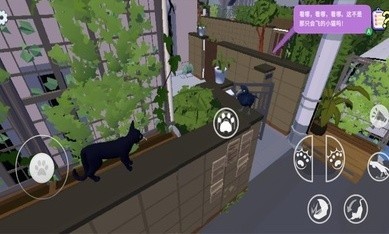 大城小猫中文版 v1.0.4
