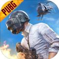 pubg(国际服)下载安装最新版2022 
