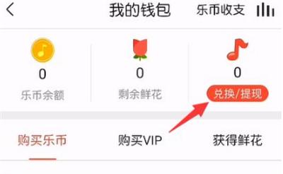 VV音乐k歌
