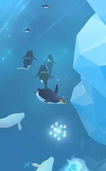 深海水族馆极地.jpg
