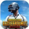 pubgm国际服体验服官方正版 