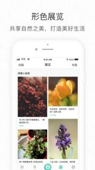 形色识花截图0