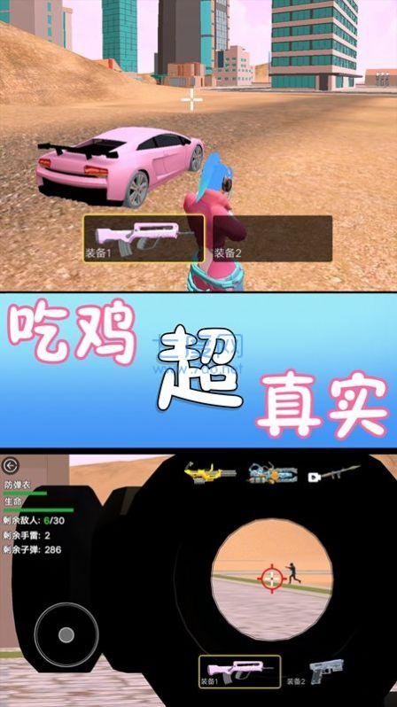 满级吃鸡游戏