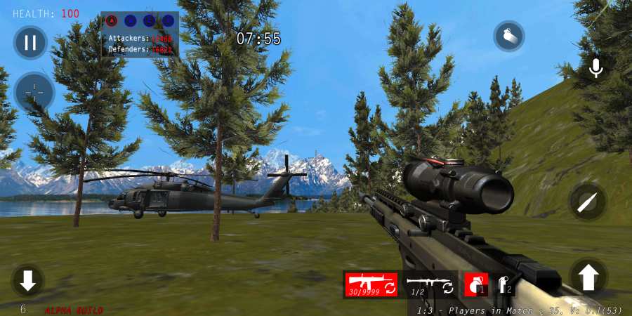 Project Gamma