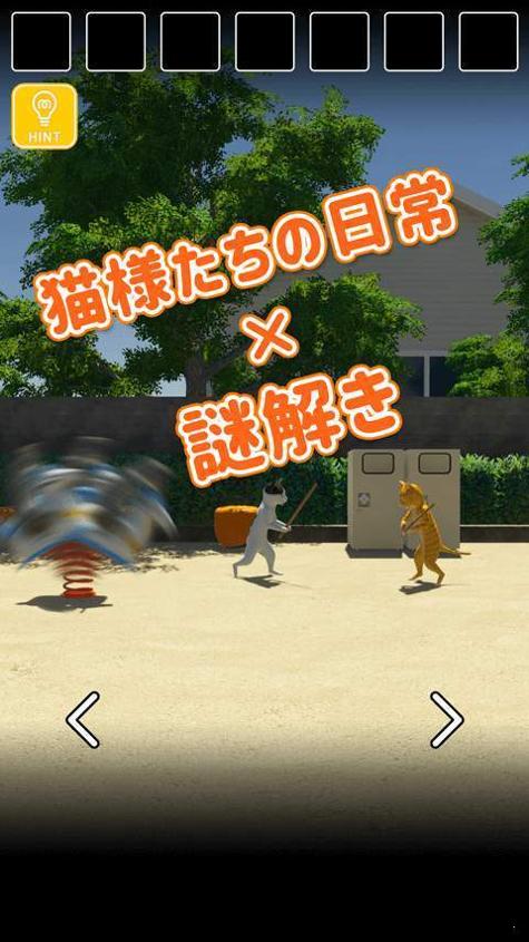 猫的日常.jpg