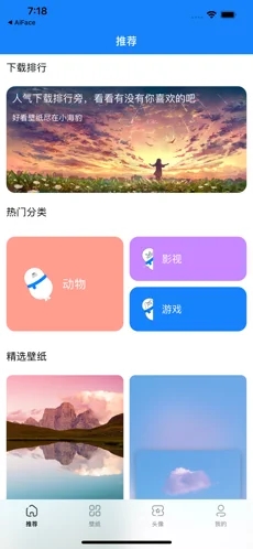 小海豹壁纸.jpg