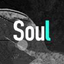 Soul音