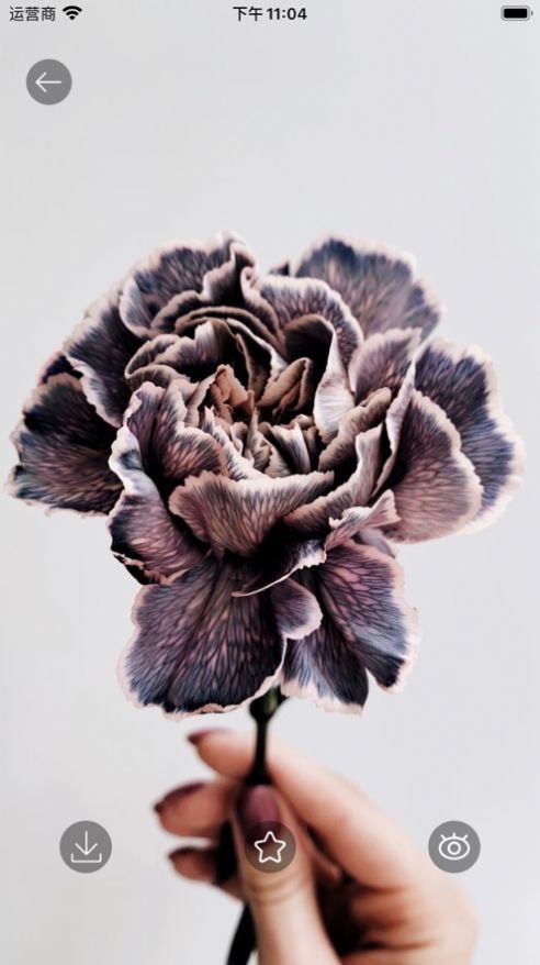 七天壁纸精选 v1.3.3