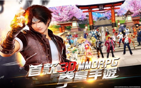 我不是拳皇  v11.5