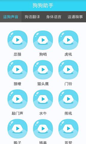 狗狗助手.png