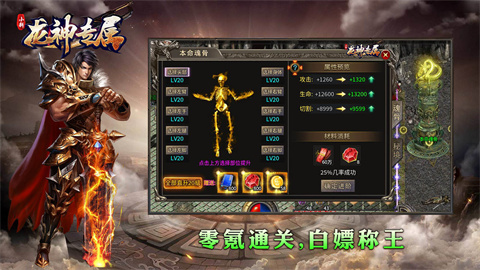 小新龙神专属