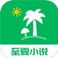 至夏小说