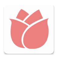 鲜花到家