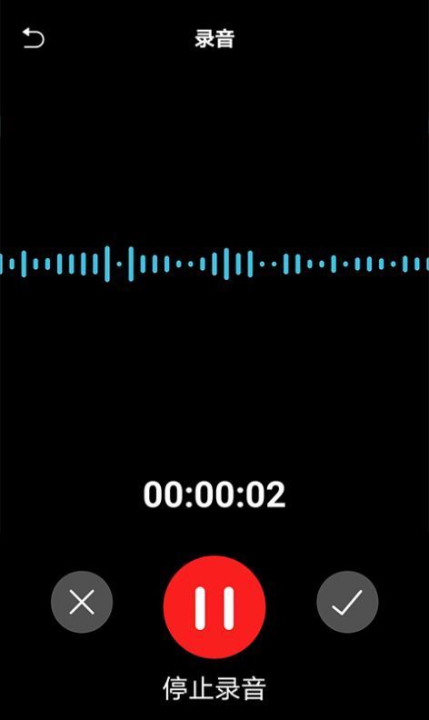 匠人语音翻译文字截图0