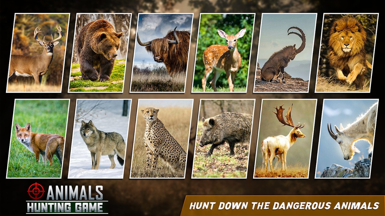 Wild Shooting Hunting Games 3d游戏安卓版图片1