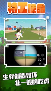 特工使命1.1 v2.1.0