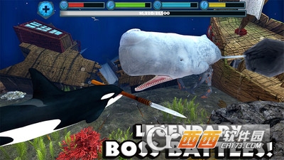 虎鲸攻击模拟3D游戏 v2.1 安卓版