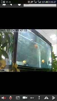 BVCAM 版本：v1.8.3