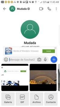 foxmail截图1