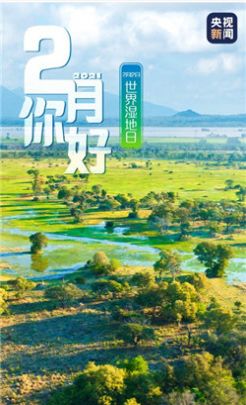 2021年1月再见2月你好图片手机壁纸 v1.0