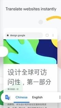 Google Chrome手机版截图3