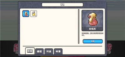 口袋妖怪DS内测版截图0