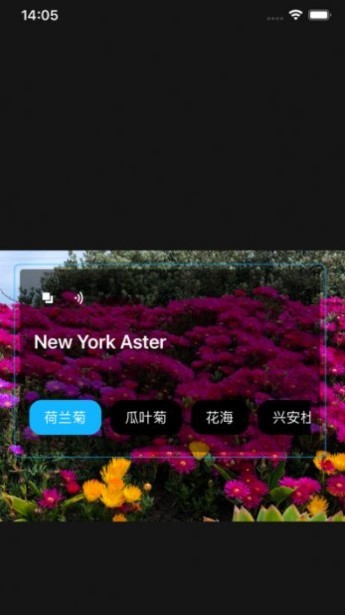 随身翻译器  V 1.0