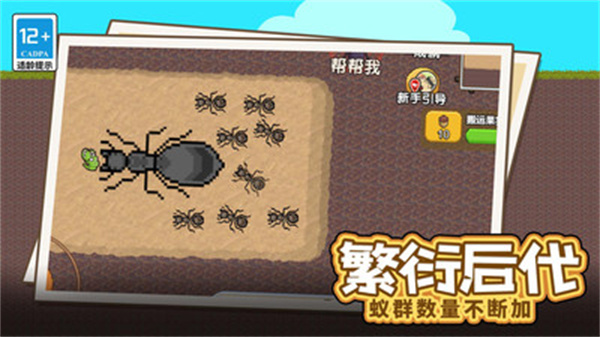 蚂蚁星球