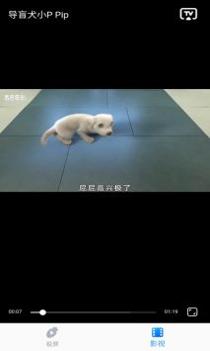 萝卜投屏截图2