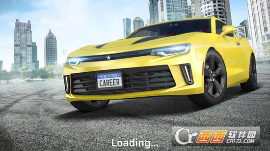 驾驶生涯Driving Career
