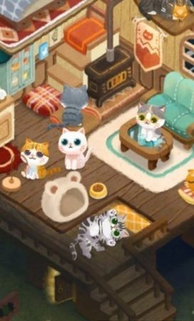 秘密猫咪森林截图0