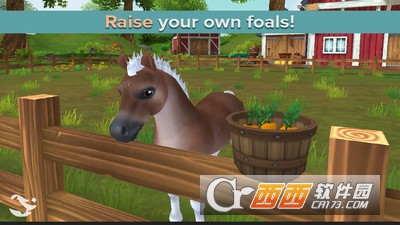 星马的马厩 v2.53.1 安卓版