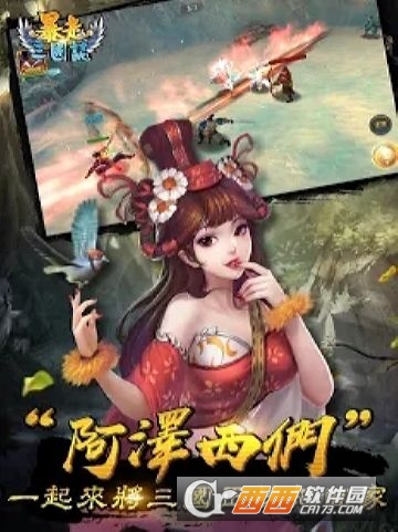 暴走三国志
