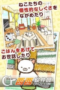 治愈的猫咪收集 v1.1.1