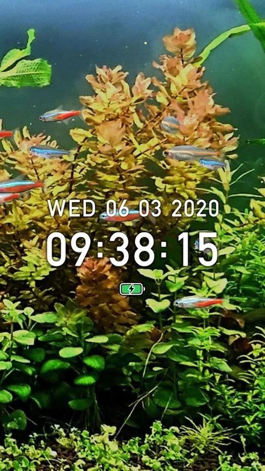 迷你水族：热带鱼缸 v3.0.5