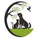 动物知识大挑战Animal Quiz