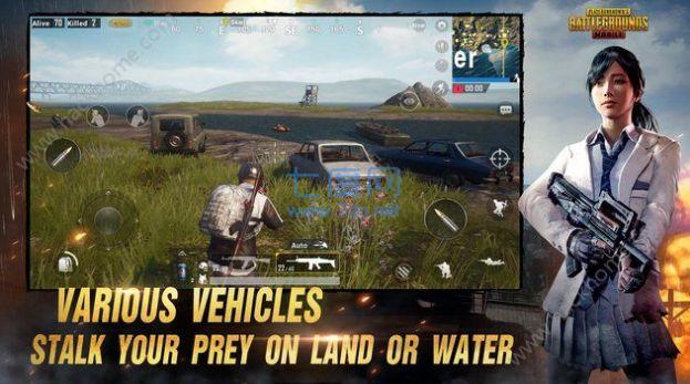 pubgmobile亚服手游