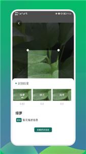 小园丁花草截图0