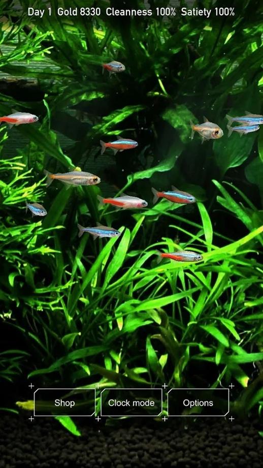 迷你水族：热带鱼缸 v3.0.5
