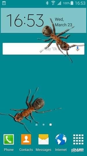 蚂蚁屏幕恶作剧 版本：v3.4