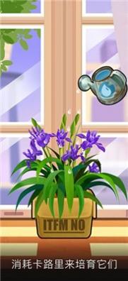 我家花园.jpg