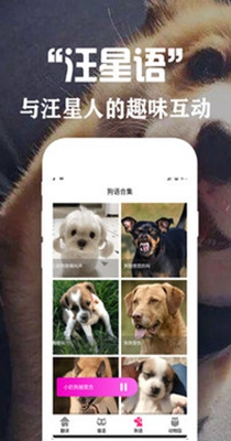 狗语翻译交流器.jpg