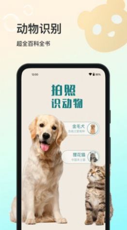 花卉识别大全截图0