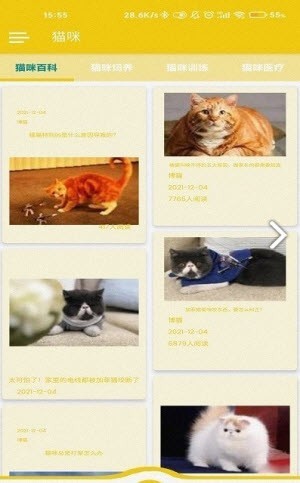 博猫截图1