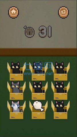 数猫猫截图2