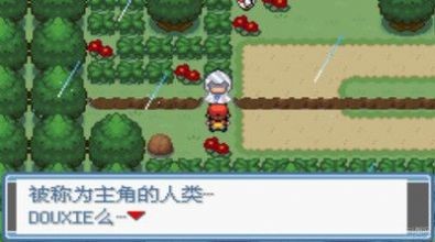 口袋妖怪全随机改版802手机版.jpg