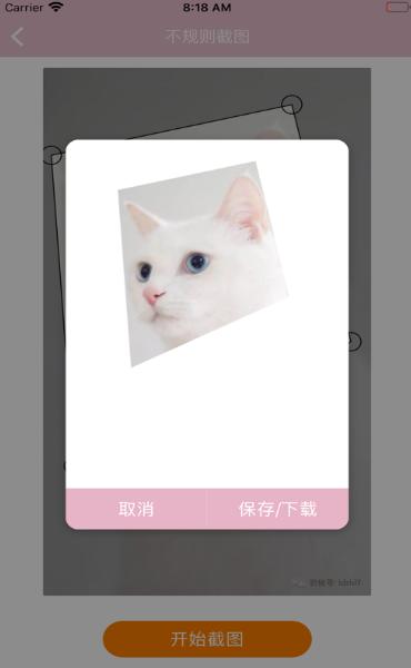 图像元素